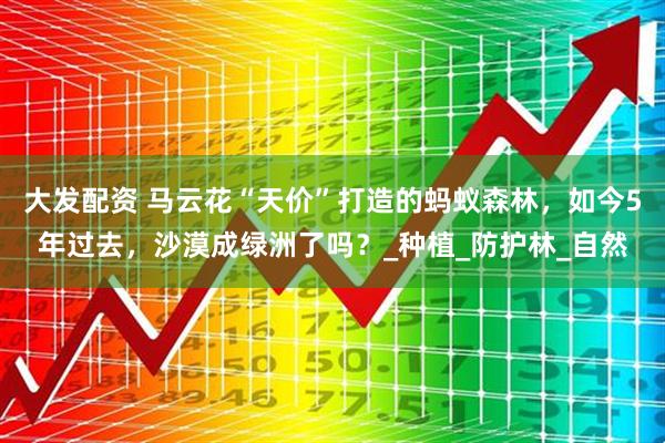 大发配资 马云花“天价”打造的蚂蚁森林，如今5年过去，沙漠成绿洲了吗？_种植_防护林_自然