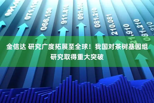 金信达 研究广度拓展至全球！我国对茶树基因组研究取得重大突破