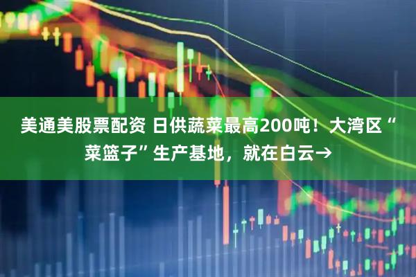 美通美股票配资 日供蔬菜最高200吨！大湾区“菜篮子”生产基地，就在白云→