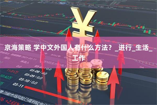 京海策略 学中文外国人有什么方法？_进行_生活_工作