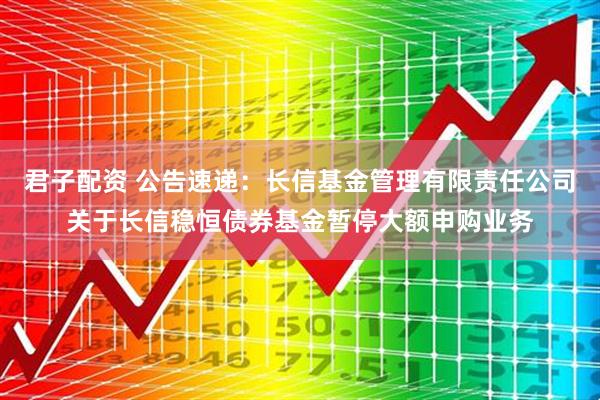 君子配资 公告速递：长信基金管理有限责任公司关于长信稳恒债券基金暂停大额申购业务