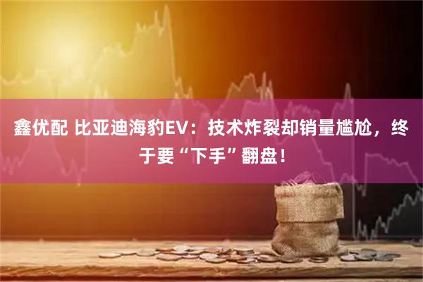 鑫优配 比亚迪海豹EV：技术炸裂却销量尴尬，终于要“下手”翻盘！