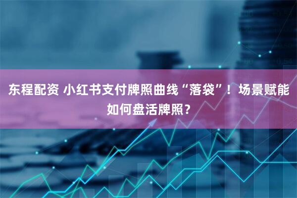 东程配资 小红书支付牌照曲线“落袋”！场景赋能如何盘活牌照？