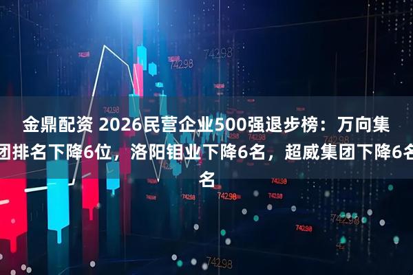 金鼎配资 2026民营企业500强退步榜：万向集团排名下降6位，洛阳钼业下降6名，超威集团下降6名