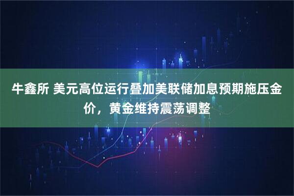 牛鑫所 美元高位运行叠加美联储加息预期施压金价，黄金维持震荡调整